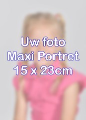 Maxiportret15X238